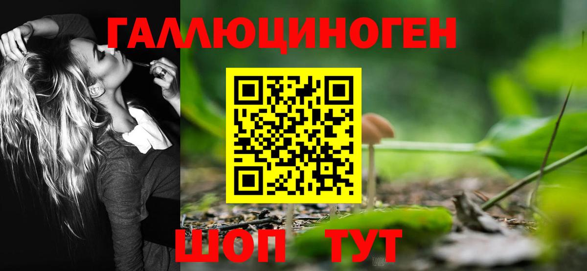 Псилоцибиновые грибы GOLDEN TEACHER Ейск