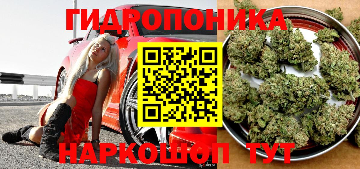 Шишки марихуана Amnesia  МАРИХУАНА SATIVA & INDICA  Вход с VPN  Ейск  Бошки марихуана конопля 